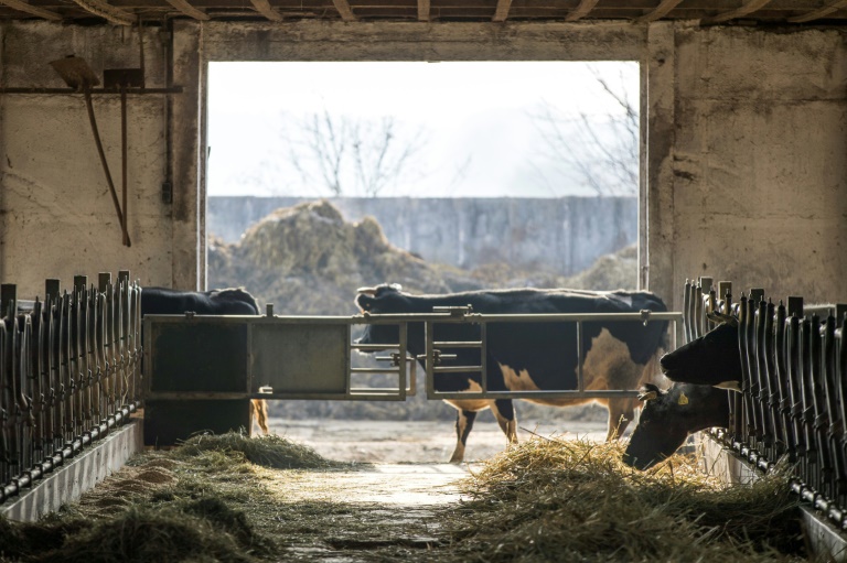 The German government's failure to meet its own targets to cut greenhouse gas emissions is simply down to a lack of political wil, says Greenpeace