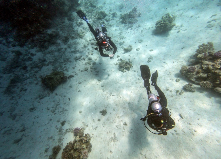 The rebound in tourism could put further pressure on Egypt's corals, according to local experts