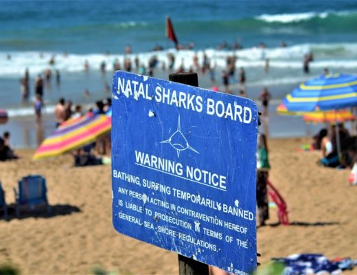 North Coast holidaymakers ignore beach closure notices