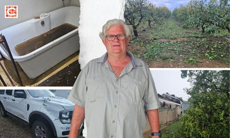 Mpumalanga farmer loses millions in a flash as storm wreaks havoc | Network News