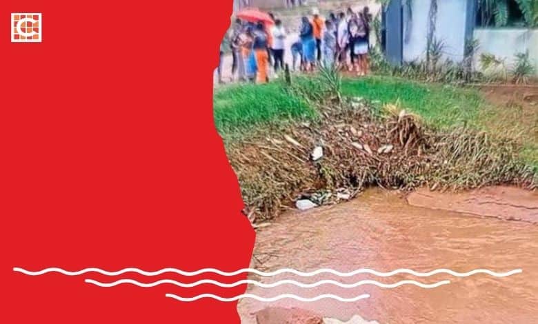 Toddler drowns in swollen Lowveld stream while following mom | Network News