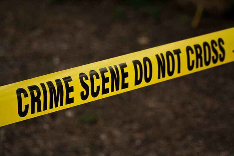 Gru-vonds in Klerksdorp: Vrou deur honde verskeur | Network News